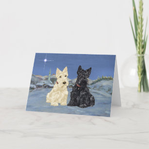 Scottish Terrier Greeting Card