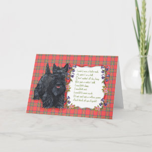 Scottish Terrier Greeting Card
