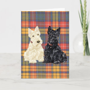 Scottish Terrier Greeting Card