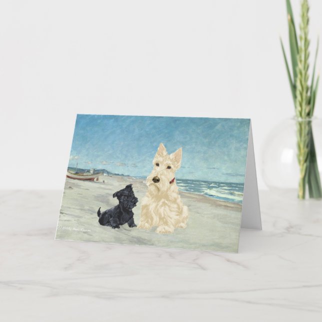Scottish Terrier Greeting Card (Front)