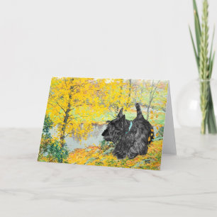 Scottish Terrier Greeting Card