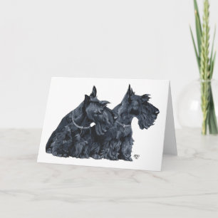 Scottish Terrier Greeting Card