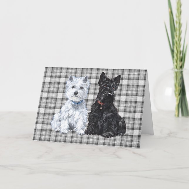 Scottish Terrier Greeting Card (Front)