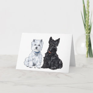 Scottish Terrier Greeting Card