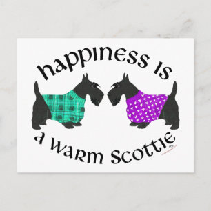 Scottish Terrier Happiness Postcard