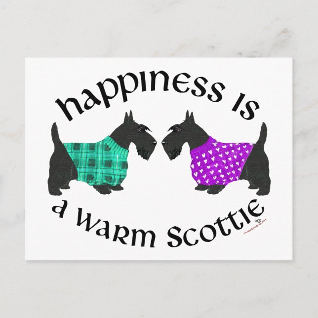 Scottish Terrier Happiness Postcard (Front)