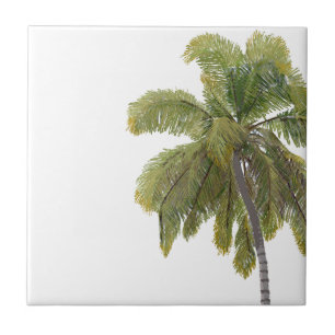 Scottish Terrier Hawaiian Design Tile