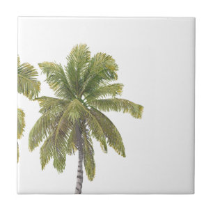 Scottish Terrier Hawaiian Design Tile