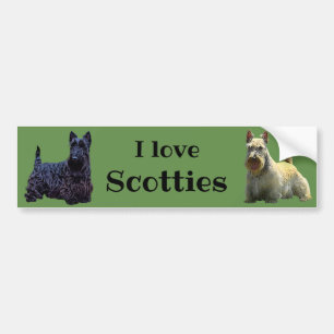 Scottish Terrier, I love, wheaten/black Bumper Sticker