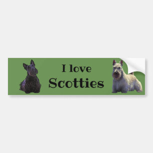 Scottish Terrier, I love, wheaten/black Bumper Sticker