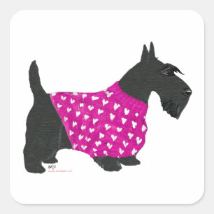 Scottish Terrier in a Sweater Square Sticker