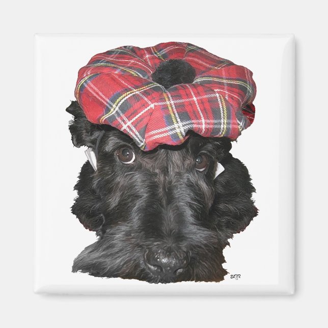 Scottish Terrier in a Tam-o-Shanter Magnet (Front)
