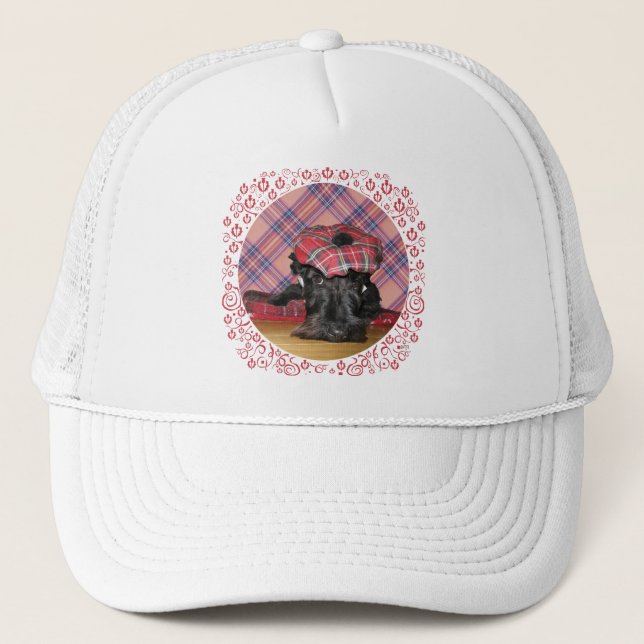 Scottish Terrier in a Tam-o-Shanter Trucker Hat (Front)