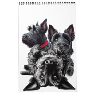 SCOTTISH TERRIER in Calendar