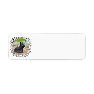 Scottish Terrier in Dappled Sunlight