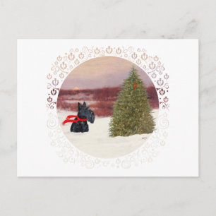 Scottish Terrier in Wintertime Postcard