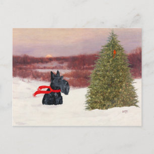 Scottish Terrier in Wintertime Postcard