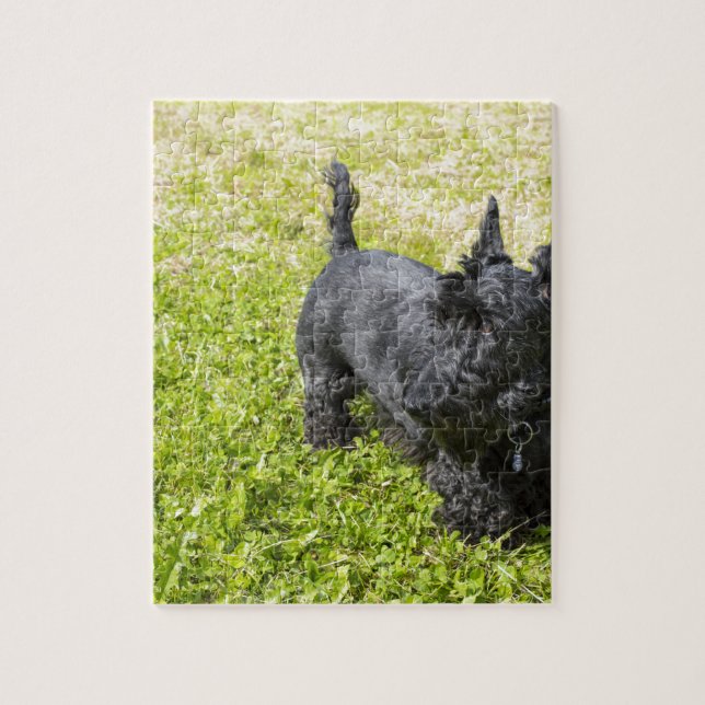Scottish Terrier Jigsaw Puzzle (Vertical)