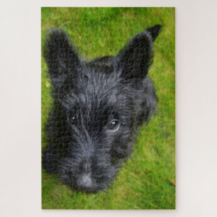 Scottish Terrier Jigsaws. Jigsaw Puzzle
