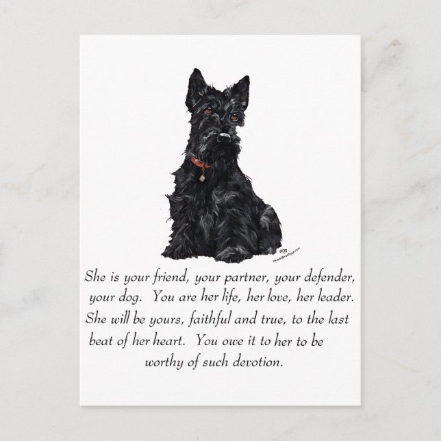 Scottish Terrier Keepsake - FEMALE Postcard (Front)