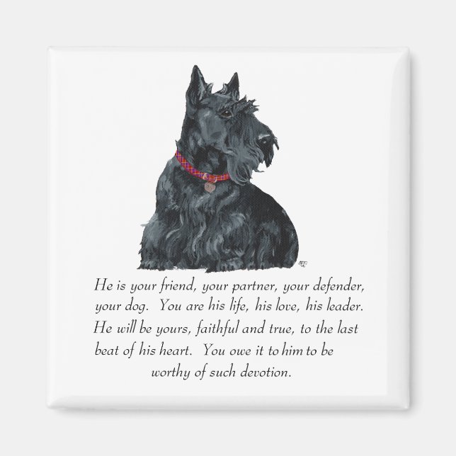 Scottish Terrier Keepsake - MALE Dog Magnet (Front)