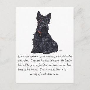 Scottish Terrier Keepsake - MALE Dog Postcard