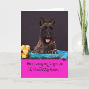 Scottish Terrier Licker License Card