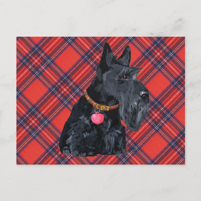 Scottish Terrier Love Postcard (Front)