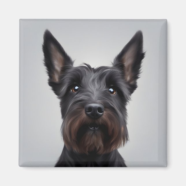Scottish Terrier Magnet (Front)