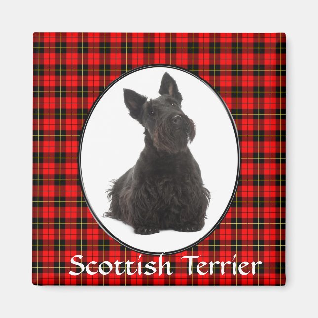 Scottish Terrier Magnet (Front)