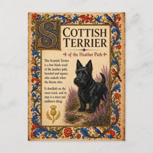 Scottish Terrier, Medieval Bestiary Art Postcard