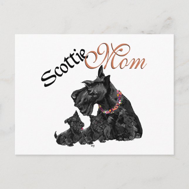Scottish Terrier Mom & Pups for Mother's Day Postcard (Front)