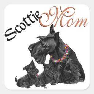 Scottish Terrier Mom & Pups Square Sticker