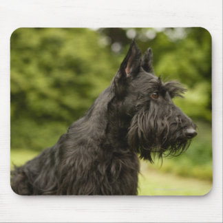Scottish Terrier Mouse Pad