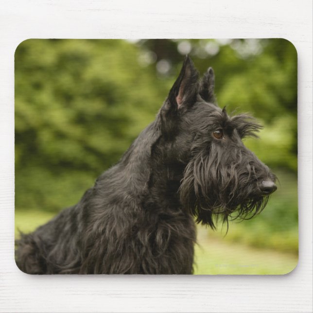Scottish Terrier Mouse Pad (Front)
