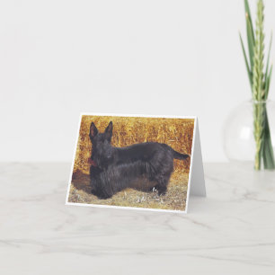 Scottish Terrier, note card
