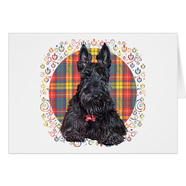 Scottish Terrier on Buchanan Plaid (Front Horizontal)