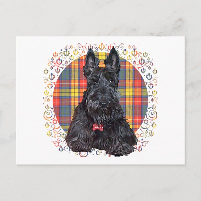 Scottish Terrier on Buchanan Plaid Postcard (Front)