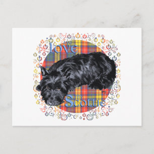 Scottish Terrier on Buchanan Plaid Postcard