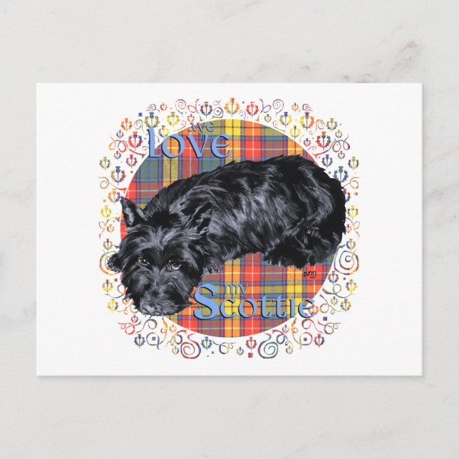 Scottish Terrier on Buchanan Plaid Postcard (Front)
