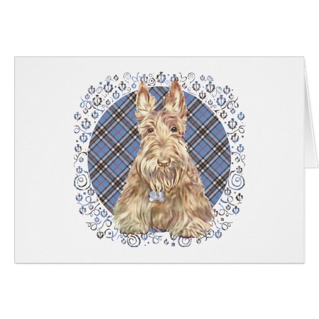 Scottish terrier on tartan (Devant horizontal)