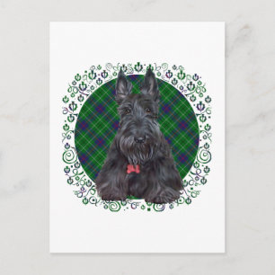 Scottish Terrier on Tartan Postcard
