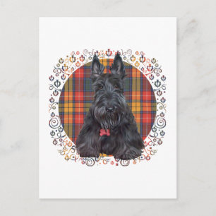 Scottish Terrier on Tartan Postcard