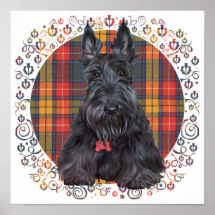 Scottish Terrier on Tartan Poster