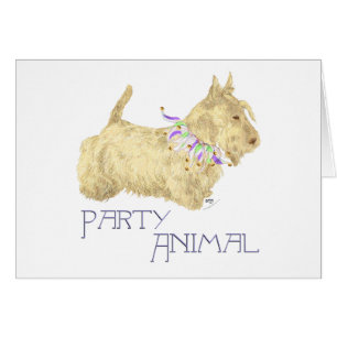Scottish Terrier Party Animal