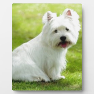 scottish terrier plaque