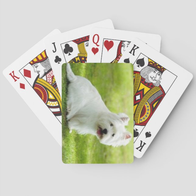 scottish terrier playing cards (Back)