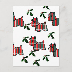 SCOTTISH TERRIER POSTCARD