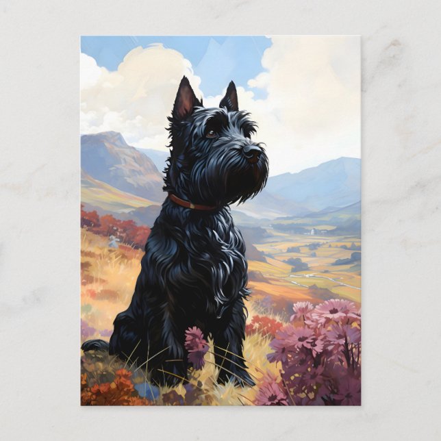Scottish Terrier Postcard (Front)