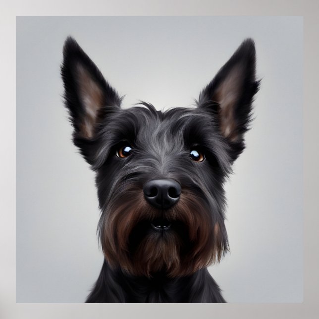 Scottish Terrier Poster (Front)